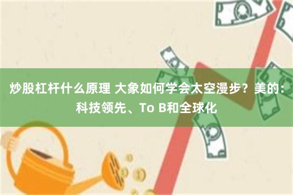 炒股杠杆什么原理 大象如何学会太空漫步？美的：科技领先、To B和全球化