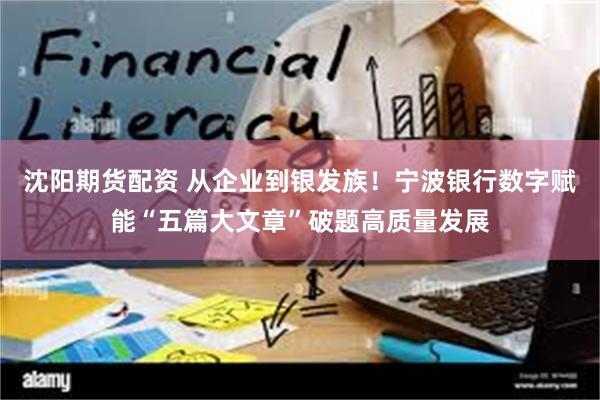 沈阳期货配资 从企业到银发族！宁波银行数字赋能“五篇大文章”破题高质量发展