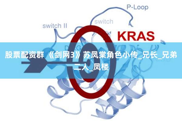 股票配资群 《剑网3》苏凤棠角色小传_兄长_兄弟二人_凤楼