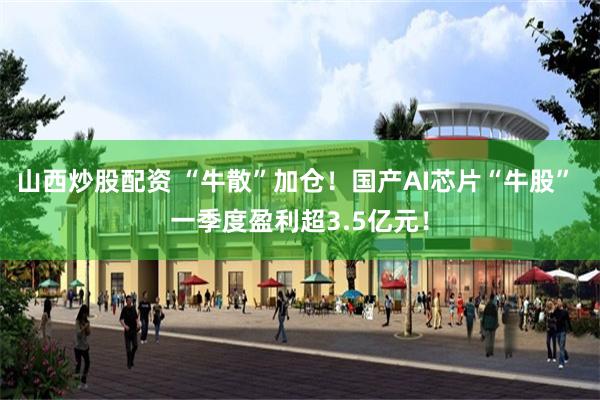 山西炒股配资 “牛散”加仓！国产AI芯片“牛股” 一季度盈利超3.5亿元！