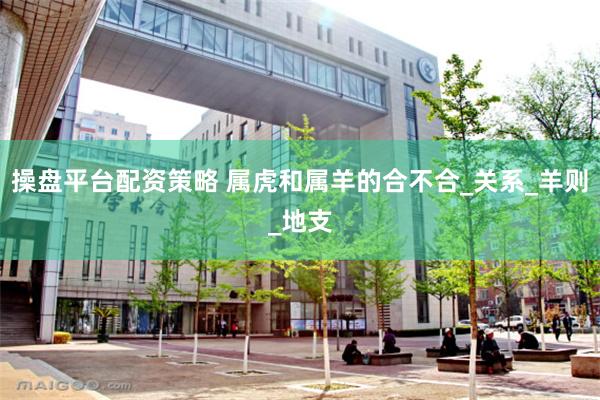 操盘平台配资策略 属虎和属羊的合不合_关系_羊则_地支