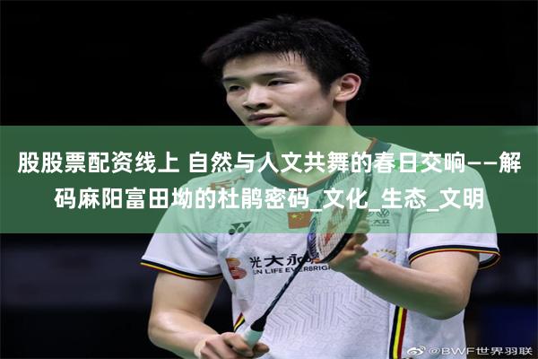 股股票配资线上 自然与人文共舞的春日交响——解码麻阳富田坳的杜鹃密码_文化_生态_文明