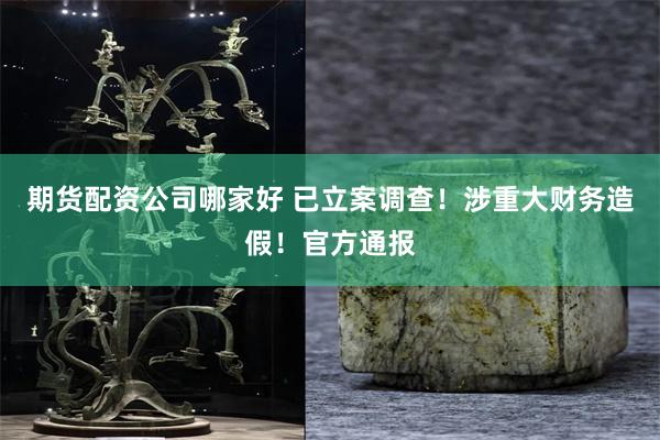 期货配资公司哪家好 已立案调查！涉重大财务造假！官方通报
