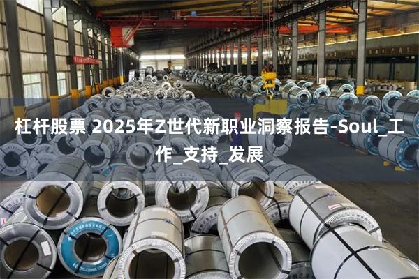 杠杆股票 2025年Z世代新职业洞察报告-Soul_工作_支持_发展