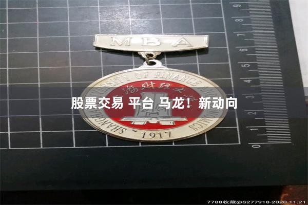 股票交易 平台 马龙！新动向