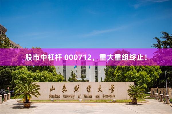 股市中杠杆 000712，重大重组终止！