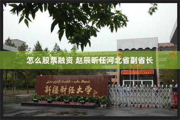 怎么股票融资 赵辰昕任河北省副省长