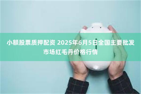 小额股票质押配资 2025年6月5日全国主要批发市场红毛丹价格行情