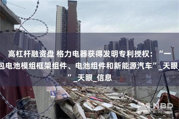 高杠杆融资盘 格力电器获得发明专利授权：“一种软包电池模组框架组件、电池组件和新能源汽车”_天眼_信息