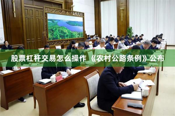 股票杠杆交易怎么操作 《农村公路条例》公布