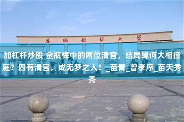 加杠杆炒股 金瓶梅中的两位清官，结局缘何大相径庭？四有清官，或无梦之人！_苗青_曾孝序_苗天秀