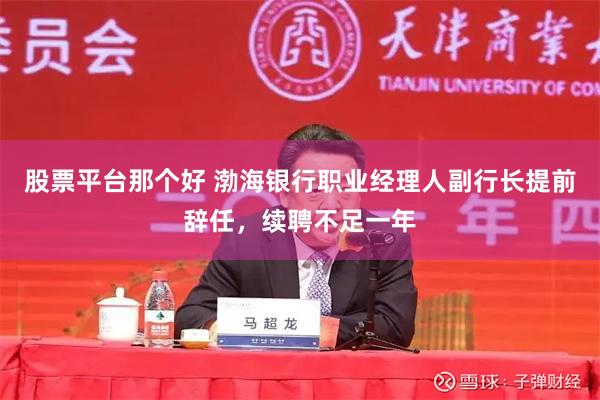 股票平台那个好 渤海银行职业经理人副行长提前辞任，续聘不足一年